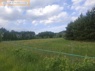Działka Sprzedaż Nowy Brańszczyk